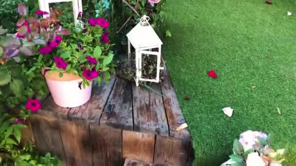 Γάμος Κόμμα Διακόσμηση Λουλούδι Στον Κήπο Καλοκαίρι — Αρχείο Βίντεο