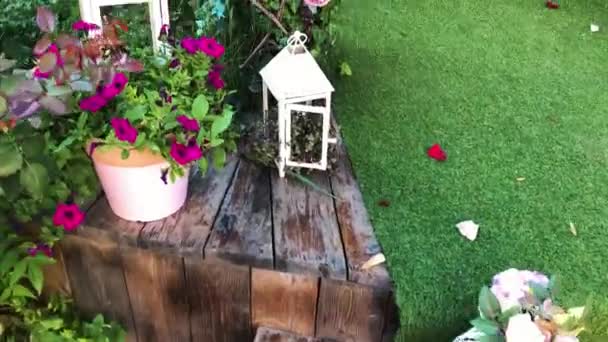 Bröllop Fest Blomma Inredning Sommarträdgården — Stockvideo