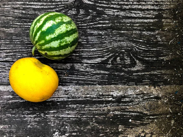 Ernte Von Frischem Gemüse Vom Biobauernhof — Stockfoto