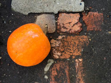 Bir yerde yatan olgun Turuncu kabak