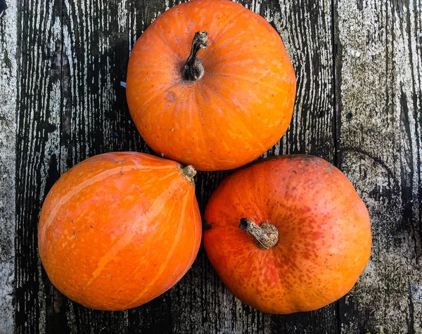 Citrouilles Orange Mûres Sur Fond Bois — Photo