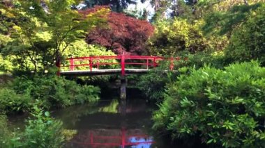 Japon bahçesinde geleneksel köprü