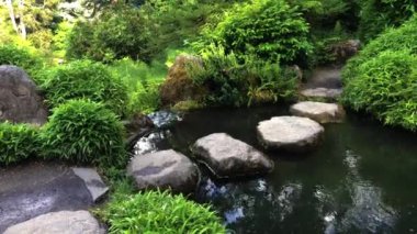 Japon tarzı bahçede güzel bir şelale. 