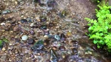 Dağlarda güzel bir şelale