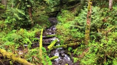 Dağlarda güzel bir şelale