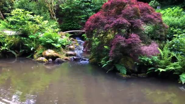 Japon Tarzı Bahçede Güzel Bir Şelale — Stok video
