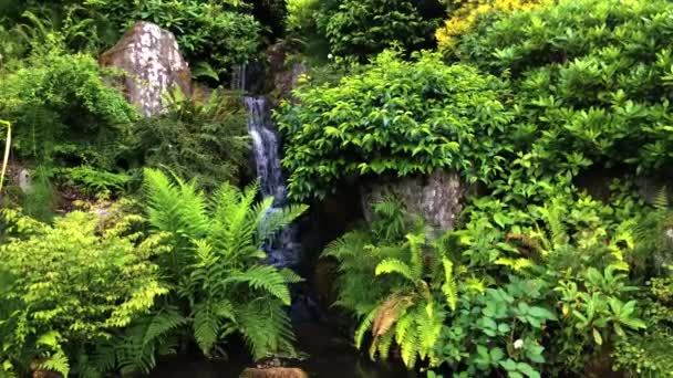 Cachoeira Bonita Jardim Estilo Japonês — Vídeo de Stock