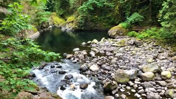 Bergrivier Cascade Bergen — Stockvideo