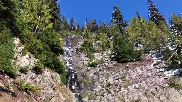 Wandelen Nationaal Park Rainier — Stockvideo