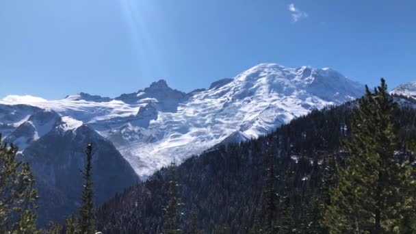 Nationaal Park Rainier Panorama — Stockvideo