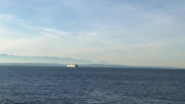 Fähre Elliot Bay Bei Seattle Washington — Stockvideo