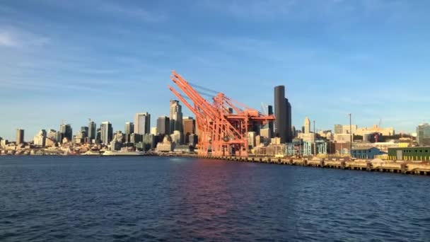 Seattle Skyline Grues Plongée Dans Port Elliot Bay — Video