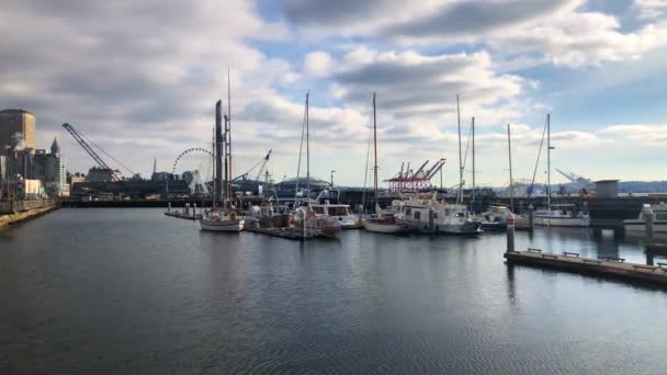 Seattle Front Mer Avec Des Yachts Dans Marina — Video