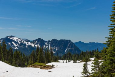 Cascade Dağı 'ndan görülebilen volkanlarla dolu güzel bir manzara. Rainier