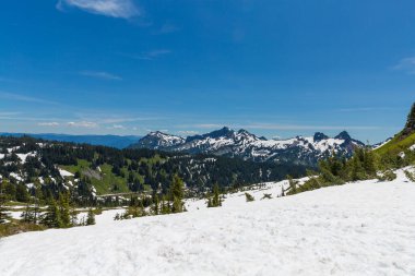 Cascade Dağı 'ndan görülebilen volkanlarla dolu güzel bir manzara. Rainier
