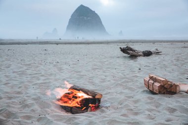 2020 yazında Oregon, Cannon Sahili 'nde güzel sisli okyanus kıyıları
