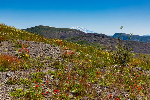 Beautiful Vistas Helens National Volcanic Monument — Stock Photo, Image