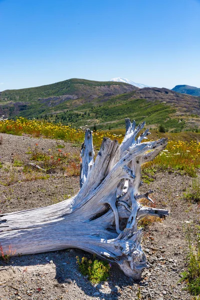 Beautiful Vistas Helens National Volcanic Monument — Stock Photo, Image