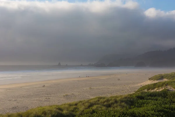 2020 Yazında Oregon Cannon Sahili Nde Güzel Sisli Okyanus Kıyıları — Stok fotoğraf