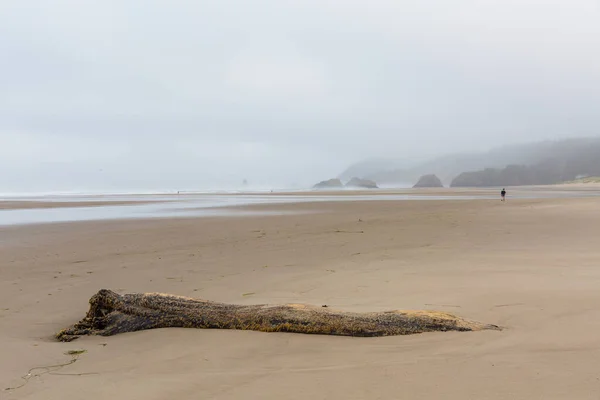 Hermosa Costa Del Mar Brumoso Cannon Beach Oregon Verano 2020 — Foto de Stock