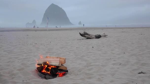Praias Nebulosas Cannon Beach Oregon — Vídeo de Stock