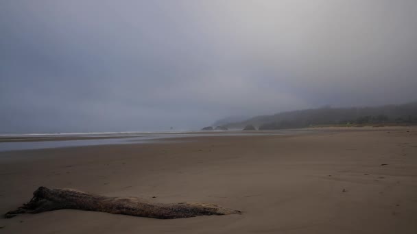 Mlhavé Břehy Cannon Beach Oregon — Stock video