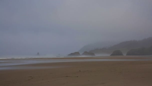 オレゴン州キャノンビーチの霧の海岸 — ストック動画