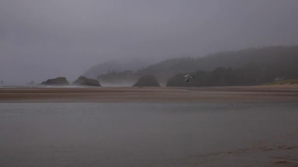 Praias Nebulosas Cannon Beach Oregon — Vídeo de Stock