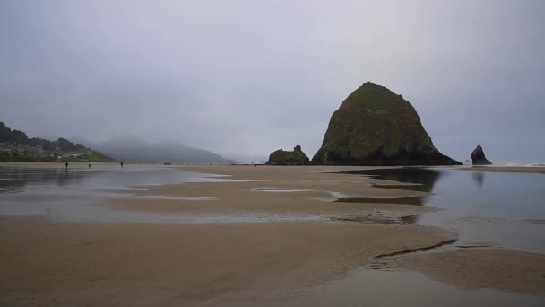 Praias Nebulosas Cannon Beach Oregon — Vídeo de Stock
