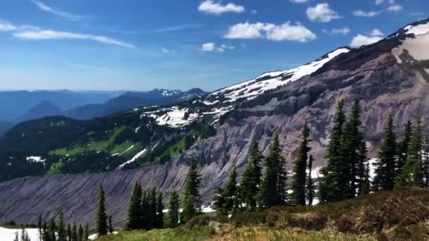 Belles Montagnes Dans Parc National Rainier — Video