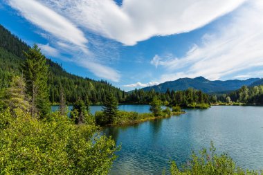 Şelale dağlarının güzel yaz doğası