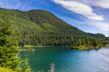 Şelale dağlarının güzel yaz doğası