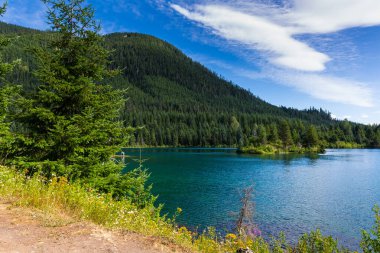 Şelale dağlarının güzel yaz doğası