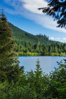 Şelale dağlarının güzel yaz doğası