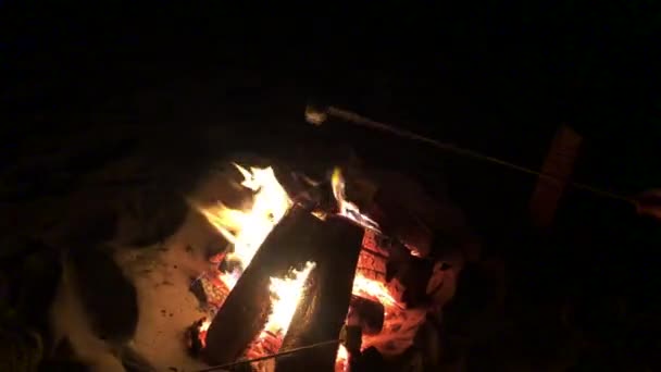ビーチでキャンプファイヤーの上でマシュマロを焙煎する — ストック動画