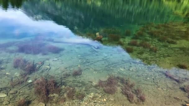 喀斯喀特山脉高山湖中的水晶清澈水 — 图库视频影像