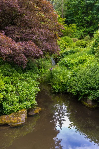 Yazın tenha ve güzel Japon bahçesi