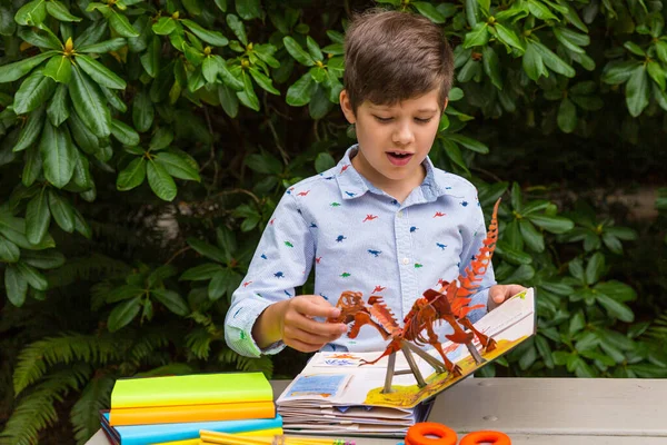 Νεαρό Αγόρι Διαβάζει Ένα Βιβλίο Για Τους Δεινόσαυρους Στο Πάρκο — Φωτογραφία Αρχείου