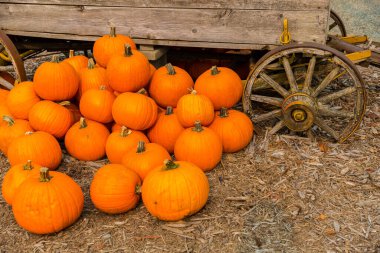 Satılık taze çiftlik ürünleri.