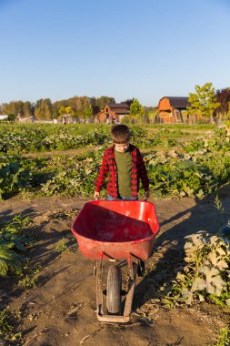 Aile çiftliğinden pompa alan bir çocukla sonbahar hasat geçmişi.