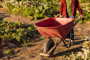 Aile çiftliğinden pompa alan bir çocukla sonbahar hasat geçmişi.