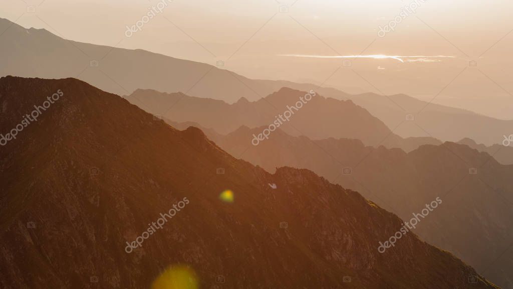 Alexandrumusuc