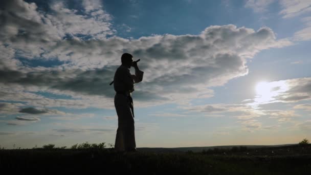 在和服中与女神像并肩作战的武术战士, — 图库视频影像