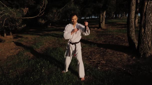 Cámara lenta, un luchador de artes marciales, hombre en kimono con nunchaku , — Vídeos de Stock