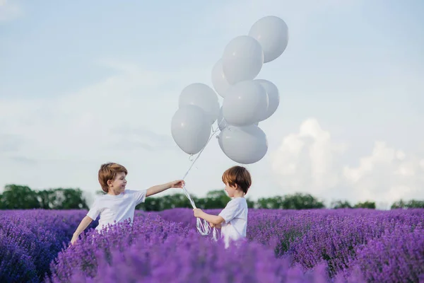 Two little boys in lavender field with white balloons, — Stock Photo, Image