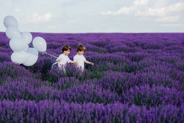 Happy childhood, two little children run through lavender field with white balloons — Stock Photo, Image