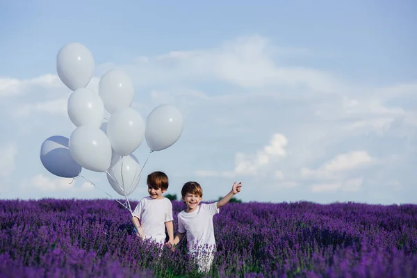 Happy childhood, two happy little boys holding hands, in lavender field, — Stock Photo, Image