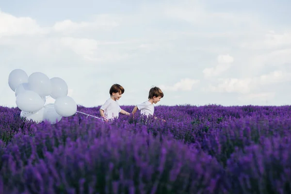 Two little boys run through lavender field with white balloons, sunny day, — Stock Photo, Image