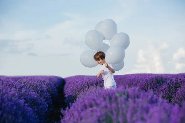 Boy in lavender field with white balloons, sunny day, — Stock Photo, Image