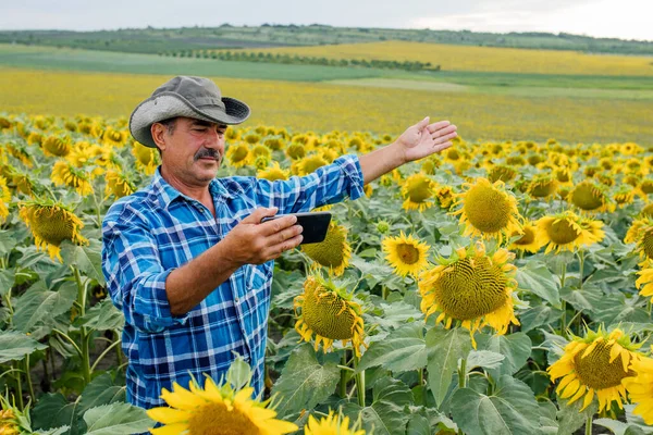 Senior farmář blogger vliv nahrávání video blog koncept mluvení při pohledu na smartphone — Stock fotografie